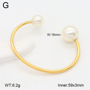 2BA300528bbml-387  Stainless Steel Bangle