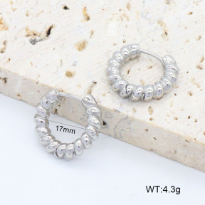 2E2006393vbpb-226  Stainless Steel Earrings