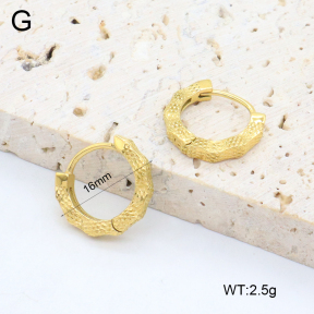 2E2006394vhha-226  Stainless Steel Earrings