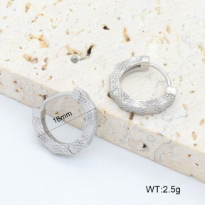 2E2006395vbpb-226  Stainless Steel Earrings