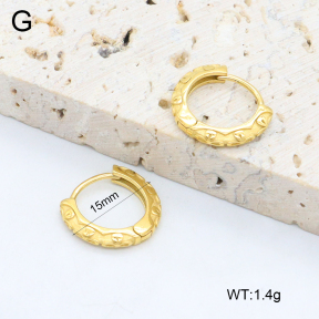 2E2006396vhha-226  Stainless Steel Earrings