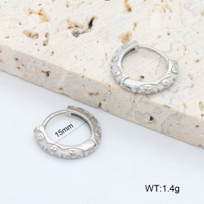 2E2006397vbpb-226  Stainless Steel Earrings