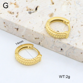 2E2006398vhha-226  Stainless Steel Earrings