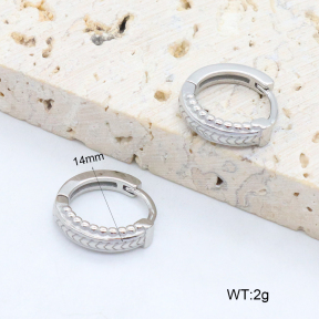 2E2006399vbpb-226  Stainless Steel Earrings