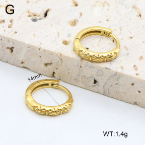 2E2006400vhha-226  Stainless Steel Earrings