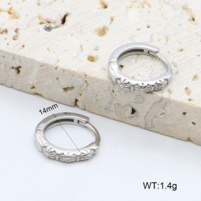 2E2006401vbpb-226  Stainless Steel Earrings