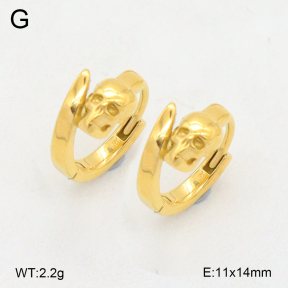 2E2006402vhha-226  Stainless Steel Earrings