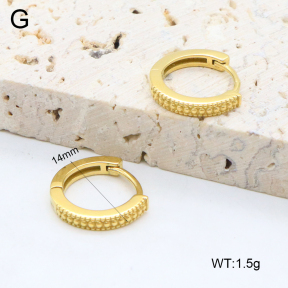 2E2006404vhha-226  Stainless Steel Earrings