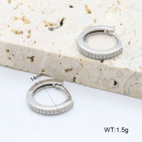 2E2006405vbpb-226  Stainless Steel Earrings