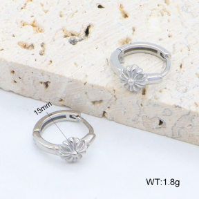 2E2006409vbpb-226  Stainless Steel Earrings