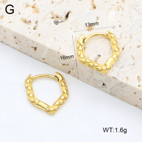 2E2006410bhva-226  Stainless Steel Earrings