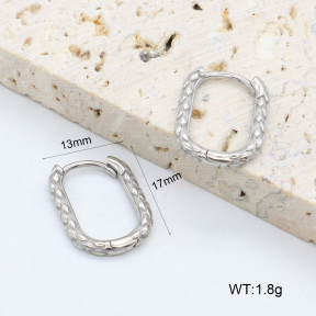 2E2006413vbpb-226  Stainless Steel Earrings