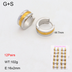 2E2006414amaa-387  Stainless Steel Earrings