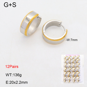 2E2006415bpvb-387  Stainless Steel Earrings