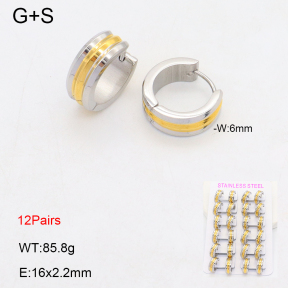 2E2006417amaa-387  Stainless Steel Earrings