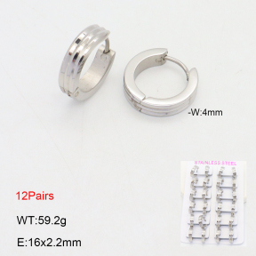 2E2006420akoa-387  Stainless Steel Earrings
