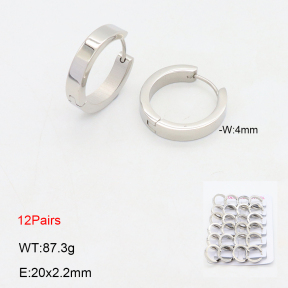 2E2006422akoa-387  Stainless Steel Earrings