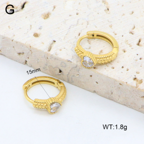 2E4004590ahjb-226  Stainless Steel Earrings