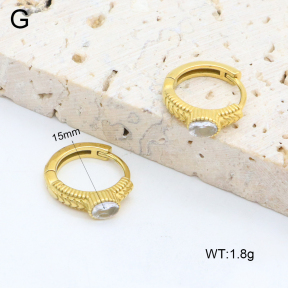 2E4004592ahjb-226  Stainless Steel Earrings