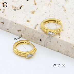 2E4004594ahjb-226  Stainless Steel Earrings