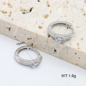 2E4004595vhha-226  Stainless Steel Earrings