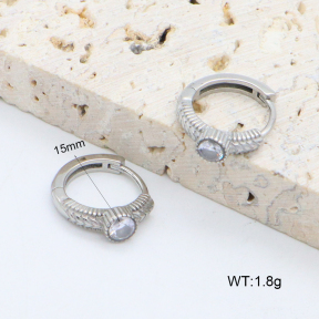 2E4004596vhha-226  Stainless Steel Earrings