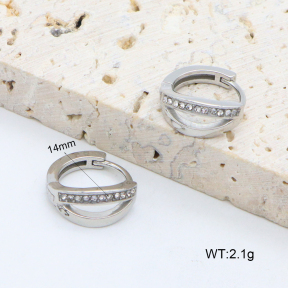 2E4004598vhha-226  Stainless Steel Earrings