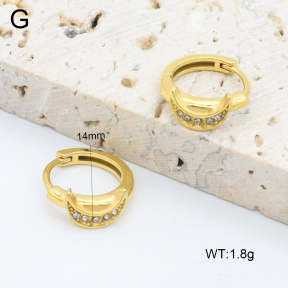 2E4004599ahjb-226  Stainless Steel Earrings