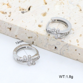 2E4004602bhia-226  Stainless Steel Earrings