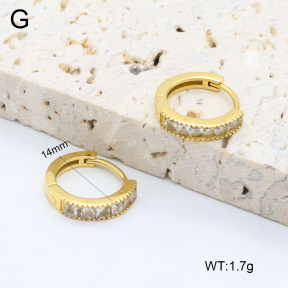 2E4004603vhkb-226  Stainless Steel Earrings