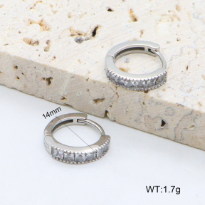 2E4004604bhia-226  Stainless Steel Earrings