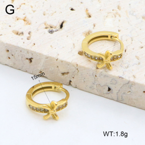 2E4004605ahjb-226  Stainless Steel Earrings