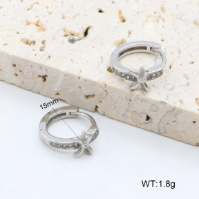 2E4004606vhha-226  Stainless Steel Earrings