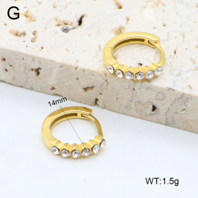 2E4004607ahjb-226  Stainless Steel Earrings