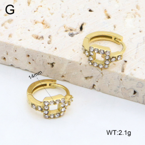 2E4004609vhkb-226  Stainless Steel Earrings