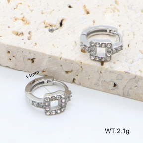 2E4004610bhia-226  Stainless Steel Earrings