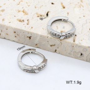 2E4004612vhha-226  Stainless Steel Earrings