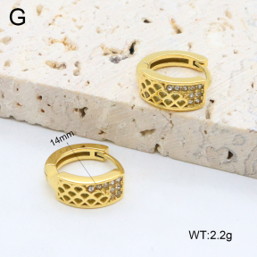 2E4004613vhkb-226  Stainless Steel Earrings