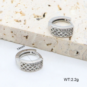 2E4004614bhia-226  Stainless Steel Earrings