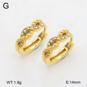 2E4004615vhkb-226  Stainless Steel Earrings