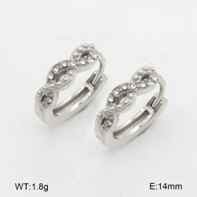 2E4004616bhia-226  Stainless Steel Earrings