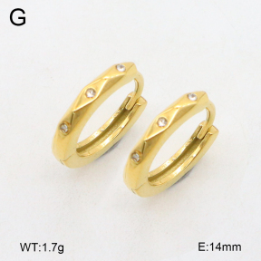 2E4004617bhia-226  Stainless Steel Earrings