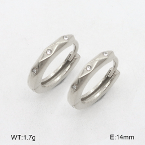 2E4004618bhva-226  Stainless Steel Earrings