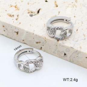 2E4004620bhia-226  Stainless Steel Earrings