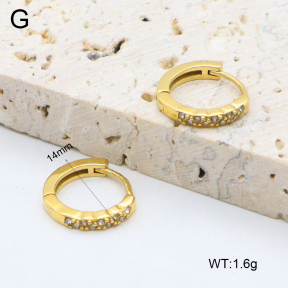 2E4004621ahjb-226  Stainless Steel Earrings