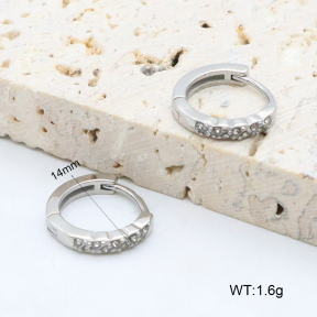 2E4004622vhha-226  Stainless Steel Earrings