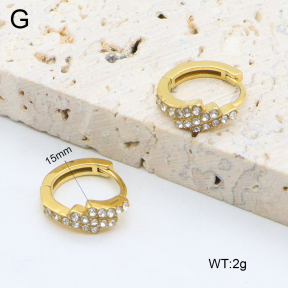 2E4004623vhkb-226  Stainless Steel Earrings