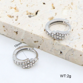 2E4004624bhia-226  Stainless Steel Earrings