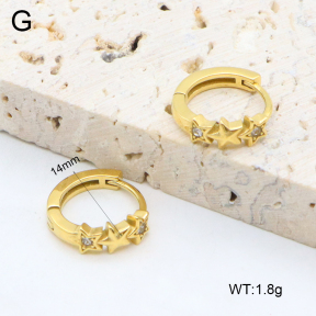 2E4004625bhia-226  Stainless Steel Earrings