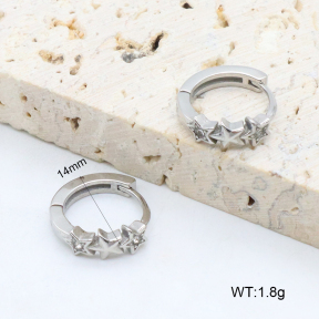 2E4004626bhva-226  Stainless Steel Earrings